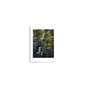 Rose Falls
